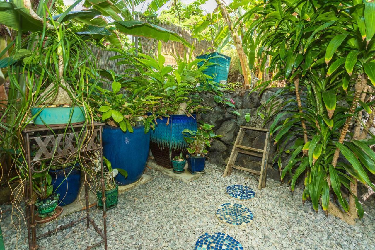 Mango Retreat Villa Kailua-Kona Eksteriør billede